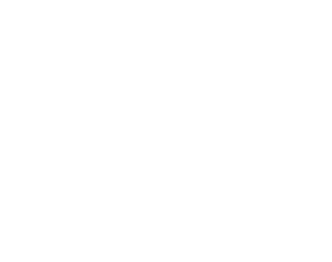 king henrys